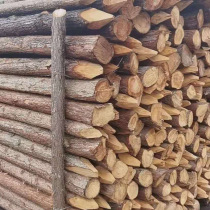 Fir wood piles outdoor river protection round wood piles pine wood piles outdoor river revetment fir wood piles larch log wood piles