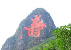 巴马特产小杨