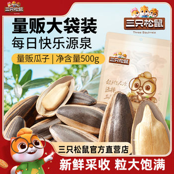 New Product [Three Squirrels_Pecan Flavor/Caramelized Sunflower Seeds 500g] Nut Snacks Sunflower Seeds 0.5kg