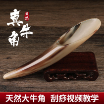 Tan Carpenters large natural horn scraping board is a universal back massage scraping tube for shoulders neck and legs.