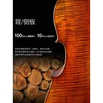 High-end imported European cello fully handmade for professional playing solo high-end solid wood adult Italian style 17