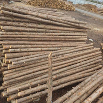 Pine wood piles fir wood piles river piling wood greening support poles flood control and slope protection national supply and marketing welcome cooperation.