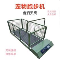 Household pet treadmill for dogs large dog walking exercise Gree Whip dog animal endurance training manufacturer