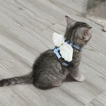 Cat leash to prevent break-away when going out cute wings to adjust pet small special chain dog harness rope