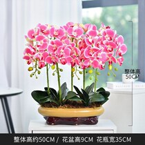 Pu feel Phalaenopsis simulated floral ornaments living room coffee table TV cabinet ornaments artificial flowers decorative flowers