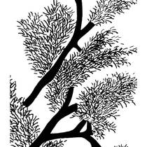 Thickened spray solvent film fully transparent weak film other large format ink printing printing film film