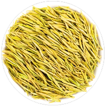 Golden Bud Anji Toupai Mingqian White Tea 2024 New Tea Special Milk White Tea Green Tea for Yourself Drink 250g