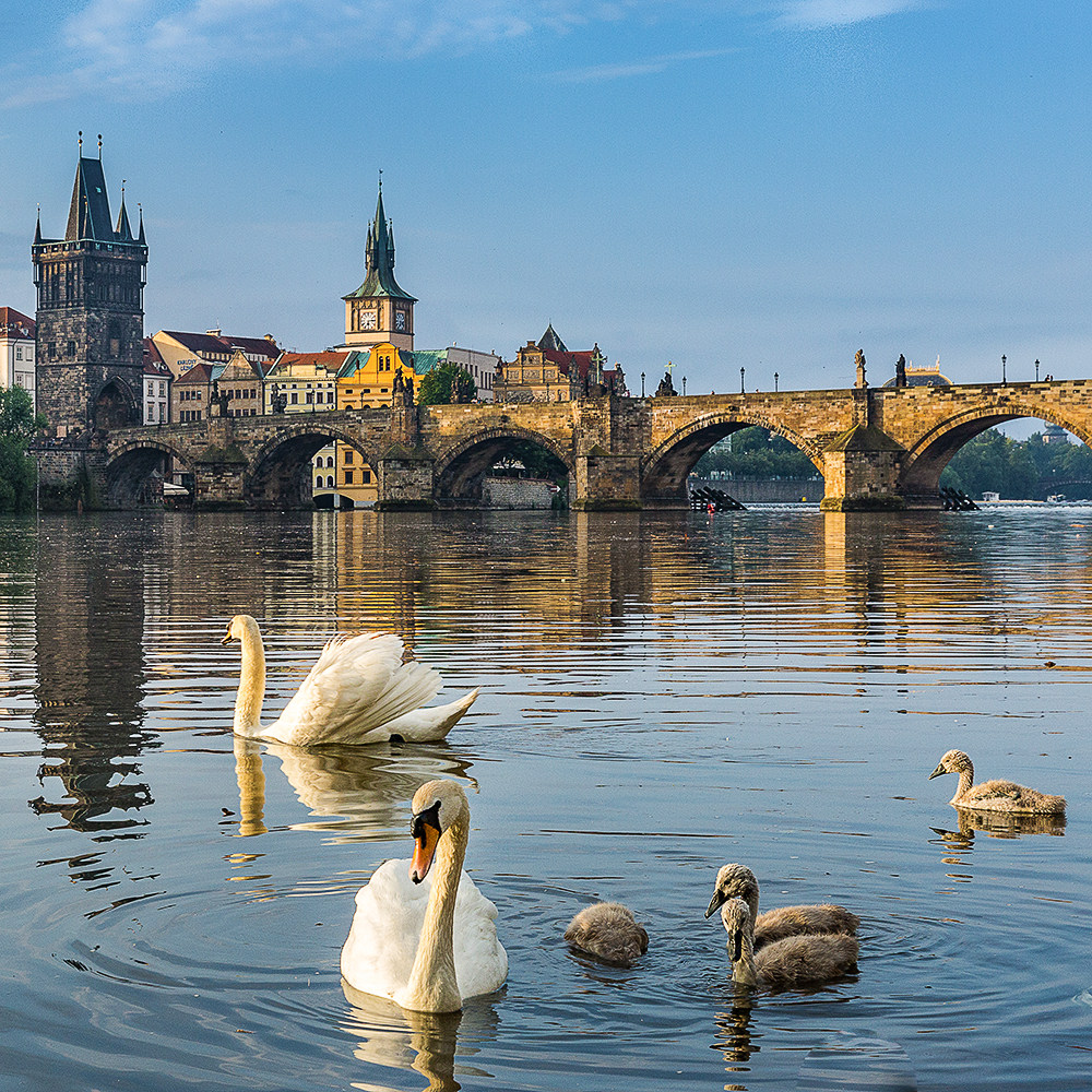 春节去东欧玩要花多少钱？含机票的奥地利匈牙利捷克10-14日跟团游全解析-旅行团-淘宝好物网