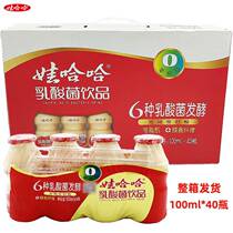 Wahaha lactic acid bacteria drink 100ml 40 bottles whole box breakfast probiotic drink