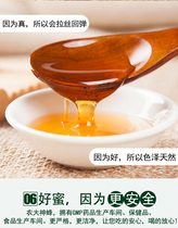 Fujian Honey 450g Pure Natural Wild Farm Self-Produced Pregnant Women Authentic No Additives Honey