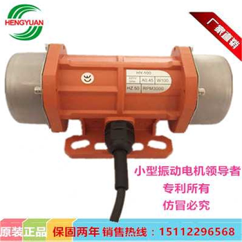 Vibration Motor 30W 40W 110V 220V 380V Micro Vibration Motor Vibrating Screen Electroplating Material Handling
