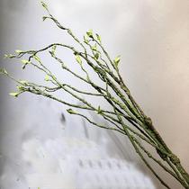 Spring imitation bud JY-SDL-0 wicker imitation hair real plant wedding scene wall art decoration decorative branch shape withered
