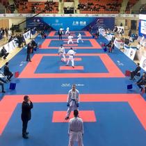 Album sheets unbuttoned towels conference room photo book mats iron necklaces flap bags floor mats colorful accessories