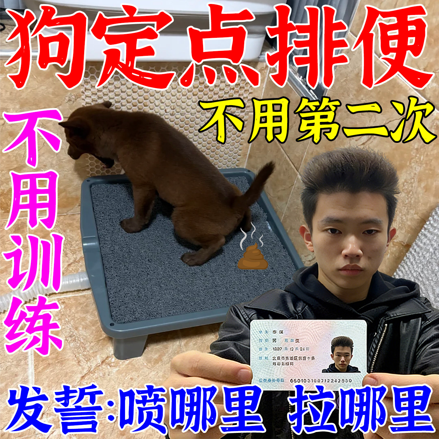 🐾 宠物主必备!乐宠狗狗定点排便神器解决乱拉屎尿问题 🐶-狗厕所-淘宝好物网