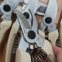 Zhang Xiaoquan Japanese stainless steel pruning flower scissors gardening garden scissors household branch pruning fruit tree scissors branch scissors