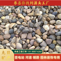 Shaanxi Pebble River Pebble substation special river paving pebble filter material garden landscaping