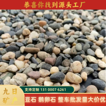 Shanghai Doushi Wholesale Floor Heating Backfill Stone Filtration Water Treatment Filter Material Potted Stone Fish Tank Landscaping