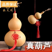 Feng Shui Natural Gourd Pendant Large Faucet Ornament Opening Home Town House Lucky Wedding Toy Tool To Dissolve Real Gourd