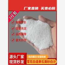 Hainan acrylic painting quartz sand fine sand fish tank decoration water filter white sand hotel ashtray childrens landscaping sand