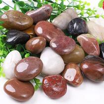 Shandong natural cobblestone stone landscaping rain flower stone paving gardening landscape flower pot courtyard paving stone garden