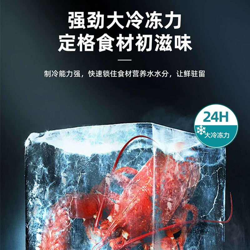志高BCD-206D冰箱图片