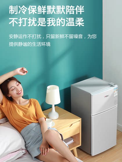 志高小冰箱一级节能家用省电小型租房宿舍用办公室迷你双门电冰箱