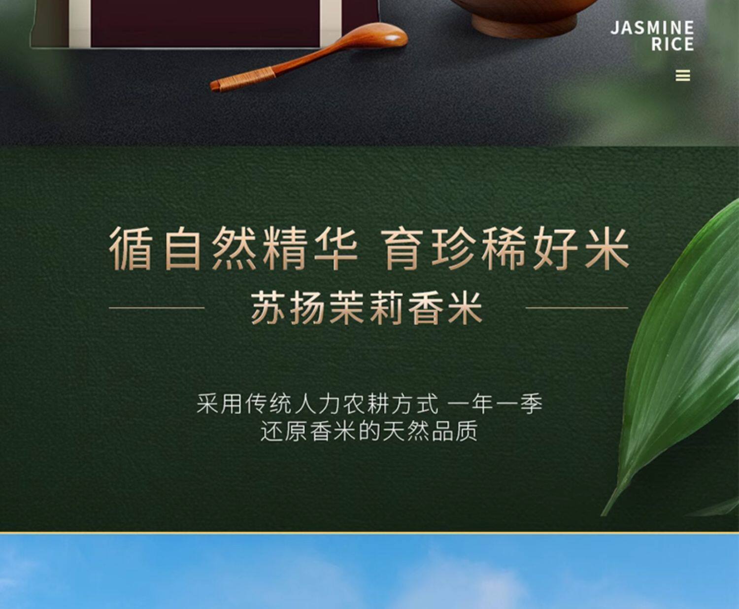 安享好物 安享C级粳米-苏扬茉莉香米 国标 