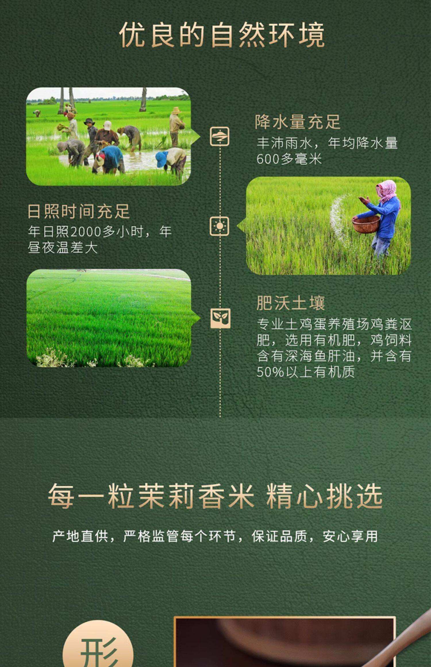 安享好物 安享C级粳米-苏扬茉莉香米 国标 