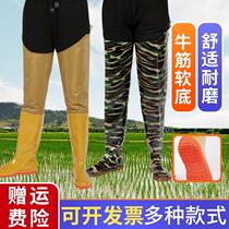 Water shoes for men high long-tube over-the-knee soft-soled non-slip rice-planting water shoes for farmers womens fishing rain boots waders