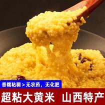 2023 new rice Shanxi rhubarb rice glutinous millet millet sticky rice yellow rice dumplings soft rice sticky rice 3-5 pounds of miscellaneous grains