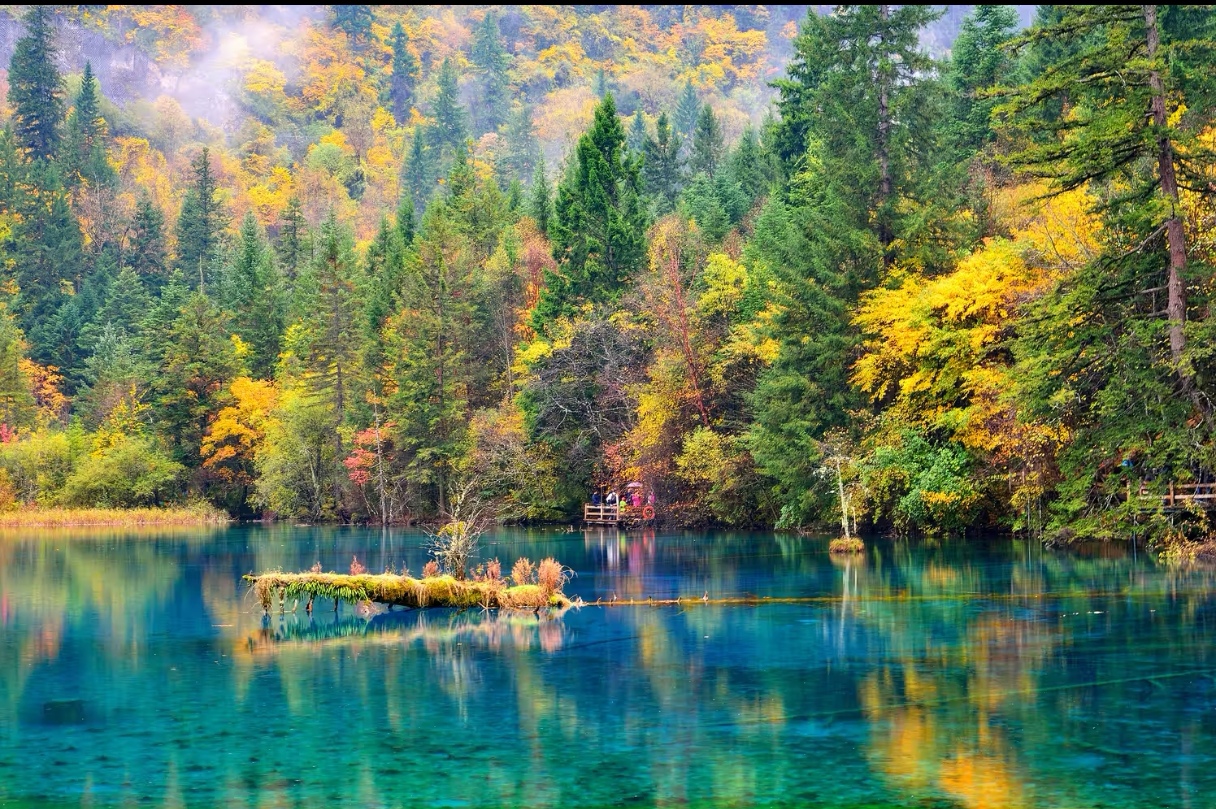 九寨沟成都纯玩团：一场身心畅享之旅