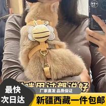 Xinjiang Tibetan cat bee traction rope to prevent falling off I-shaped adjustable pet-specific ragdoll Teddy