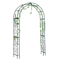 Quick-release American iron garden arch flower stand climbing pergola courtyard European moon rose gardening flower stand
