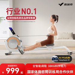 Merrick Rowing Machine Household Magnetic Resistance Super Fat Burning Comprehensive Trainer Silent Sliding Machine Fitness Equipment Female Q1S