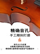 欧料进口大提琴初学者专业 级演奏手工儿童考级实木 乌木练习入门