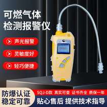 Jinan Robert SQJ-D combustible gas detection alarm diffusion gas detector