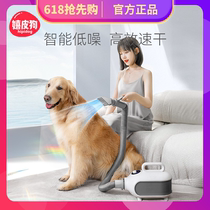 Hippie dog pet hair dryer high-power hair dryer for medium and large dogs cat bathing blowing and drying artifact