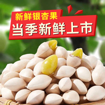 Ginkgo natural growth nuts white nuts shelled unbleached ginkgo spices fresh dry goods ready-to-eat flagship store