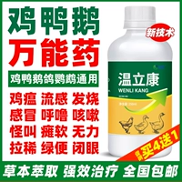 Специальное лекарство Вэнь Ликана для выращивания цыплят способно вылечить все куриные болезни, куриную чуму, простуду, кашель, храп и диарею, специальное лекарство для кур и спасительное лекарство для уток.