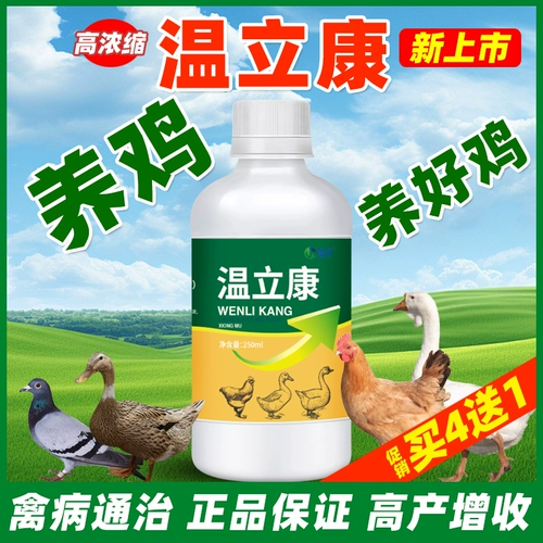 Специальное лекарство Вэнь Ликана для выращивания цыплят способно вылечить все куриные болезни, куриную чуму, простуду, кашель, храп и диарею, специальное лекарство для кур и спасительное лекарство для уток.