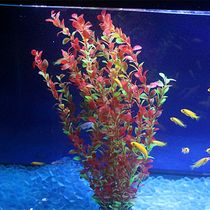 Simulated aquatic plants fish tank decoration landscaping plastic aquatic plants fake flowers soft thin strips large purple green tall aquatic plants