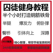 Prisoner Fitness Tutorial: Pull-ups Push-ups Leg Raise Squats Glute Bridge Series PDF Documents and Video Tutorials