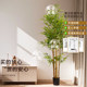 Artificial Bamboo Chinese-Style Indoor Landscaping Fake Green Plant Potted Landscape High-Quality Imitation Bamboo Partition Wall Plant Decoration