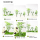 Simulated Plant Landscaping Balcony Landscape Arrangement Window Display under Stairs Artificial Flower Tree Decoration Bionic Green Plant Combination Set