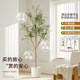 Artificial Green Plant Olive Tree Indoor Living Room Home Floor-Standing Artificial Plant Large Potted Fake Plant Landscape Bonsai