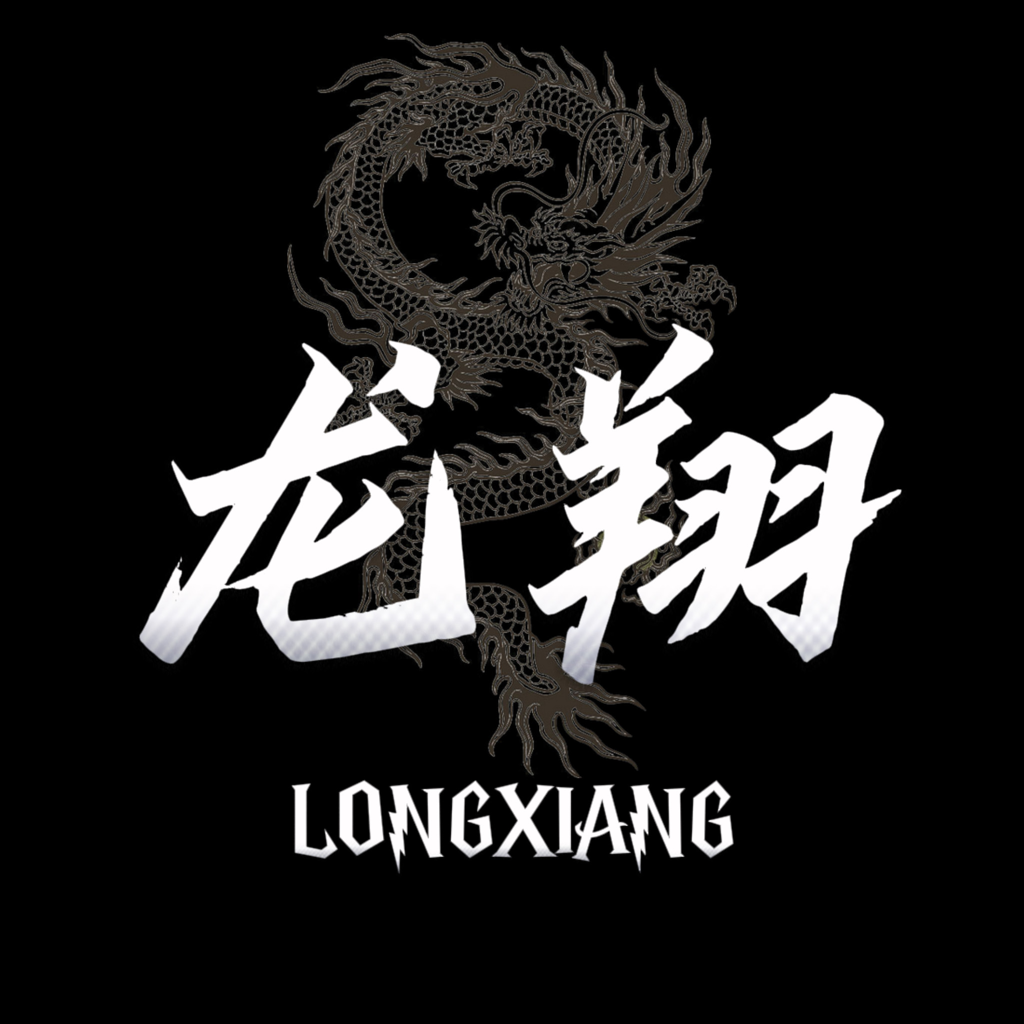 广东龙翔实力玩具
