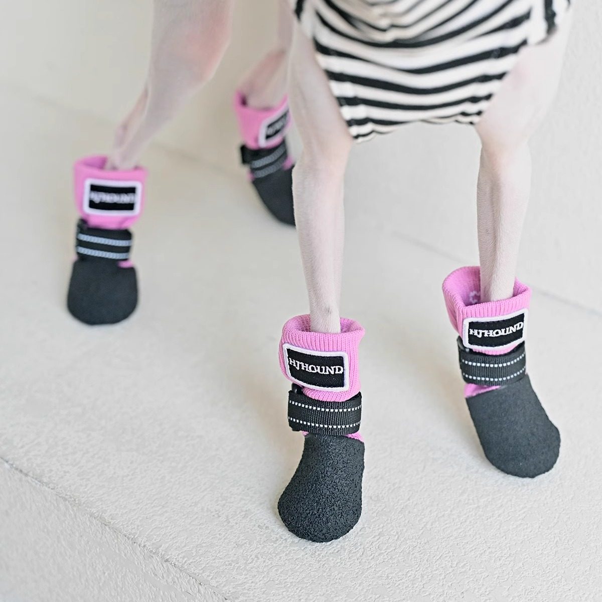 外出遛狗必备神器:宠物脚套能有效防脏脚吗?2026遛狗装备全解析