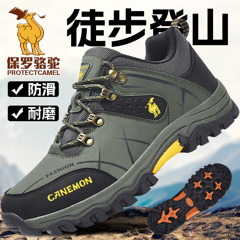 Paul Camel Men's Shoes 2025 Summer New Outdoor Non-Slip Wear-Resistant Hiking Shoes Summer Soft-Soled Walking Travel Shoes
