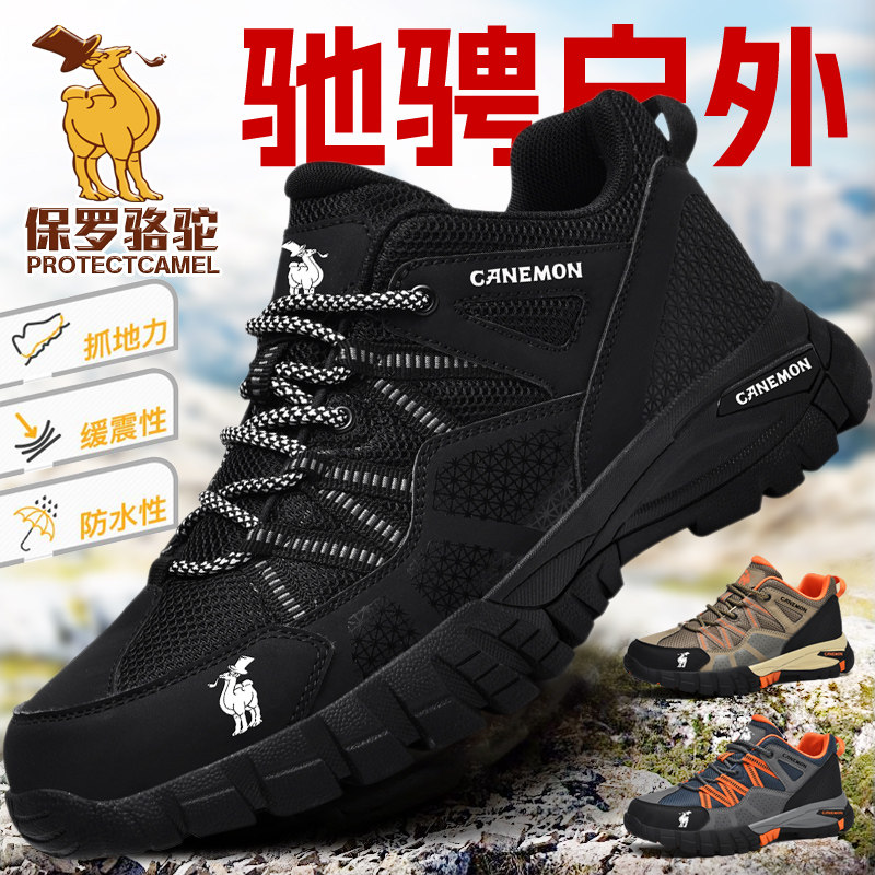 Paul Camel Men's Shoes 2025 Summer New Outdoor Hiking Shoes Men's Non-Slip Wear-Resistant Lightweight Mesh Trekking Shoes