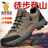 Paul Camel Hiking Shoes for Men 2025 Autumn New Outdoor Non-Slip Grip Trekking Shoes Men's Travel Sports Shoes